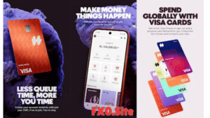 NayaPay APK